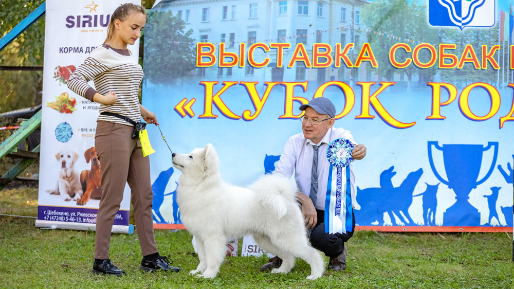 Лучшие щенки питомника pesles.ru